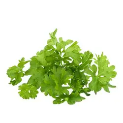 بذر میکروگرین جعفری