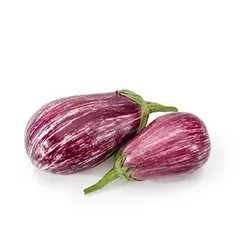 بذربادمجان نوار بلند