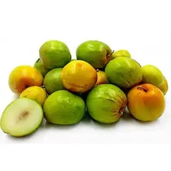 بذر درخت کنار هندی گرد