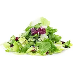 بذر سبزی سالادی میکس