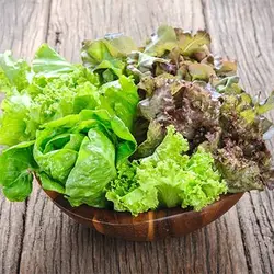 بذر سبزی سالادی میکس