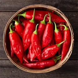 بذر فلفل چیلی سوئیت قرمز