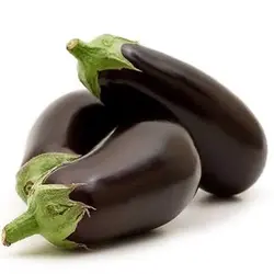 بذر بیبی بادمجان ترشی
