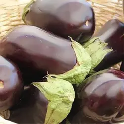 بذر بیبی بادمجان ترشی