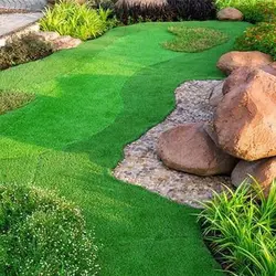 بذر گل های سنگی میکس