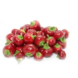 بذر فلفل کنسروی