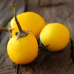 بذر بادمجان زینتی