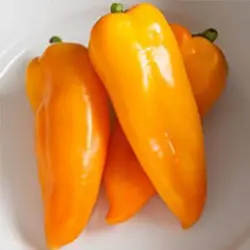 بذر فلفل کاپی نارنجی