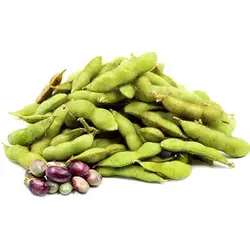 بذر سویا سیاه