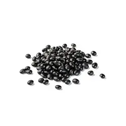 بذر سویا سیاه