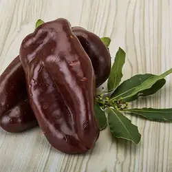 بذر فلفل کاپی شکلاتی
