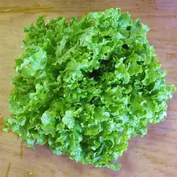 بذر کاهو سالاد بول سبز