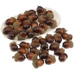 بذر بلوط اکرونز