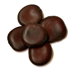 بذر قرص کمر