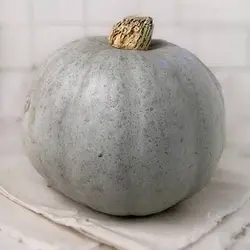 بذر کدو تنبل هوکایدو آبی