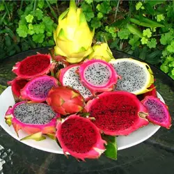 بذر دراگون فروت میکس