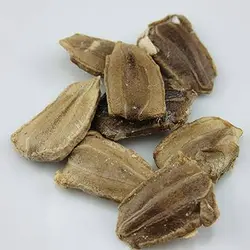 بذر کدو تنبل چارلیستون ببری