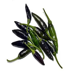 بذر فلفل چیلی سوئیت مشکی