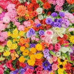 بذر میکس گل های وحشی