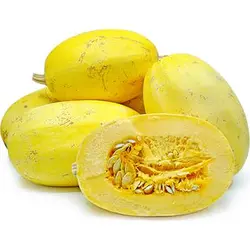 بذر کدو اسپاگتی