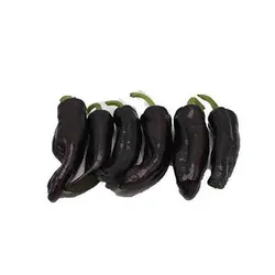 بذر فلفل دلمه ای بنفش ایتالیایی