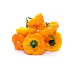 بذر فلفل زرد جاماییکایی بونت بسیار تند