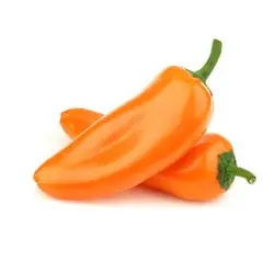 بذر فلفل کاپی مینی نارنجی