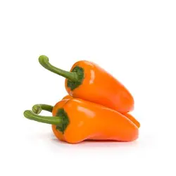 بذر فلفل کاپی مینی نارنجی