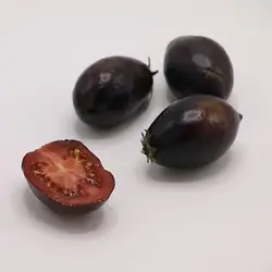 بذر گوجه فرنگی تخم مرغی سیاه