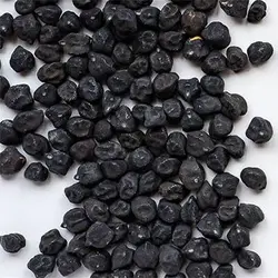 بذر نخود سیاه