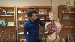 آموزش آناتومی دستگاه گوارش با استفاده از مولاژ