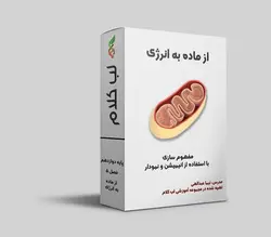 فیلم آموزشی فصل 5 زیست دوازدهم - از ماده به انرژی