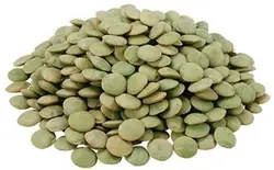 عدس کانادایی