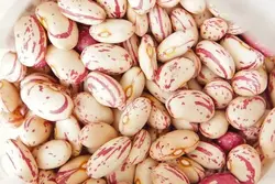 لوبیا چیتی ایرانی نیم کیلو