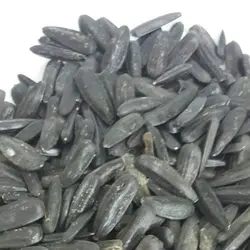 تخمه سیاه شمشیری بادامی
