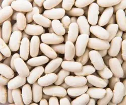 لوبیا سفید یک کیلو - تومان۰ -  - پیباکس بازار آنلاین