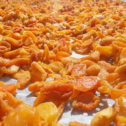 برگه زردالو خشک