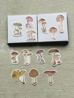 پک استیکر وارداتی طرح قارچ