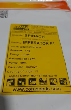 بذر اسفناج امپراطور F1 کوراسید ایتالیا