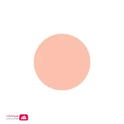 رژگونه اینستایل تاپ فیس کد 354