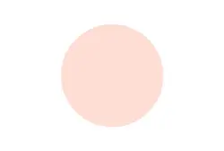 رژگونه اینستایل تاپ فیس کد 354