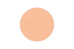 رژگونه اینستایل تاپ فیس کد 354