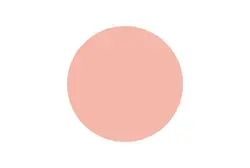 رژگونه اینستایل تاپ فیس کد 354