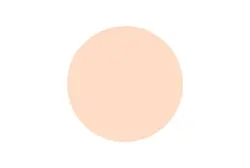 رژگونه اینستایل تاپ فیس کد 354