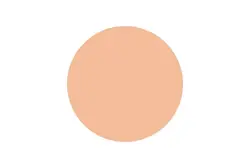 رژگونه اینستایل تاپ فیس کد 354