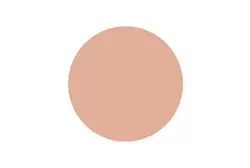 رژگونه اینستایل تاپ فیس کد 354