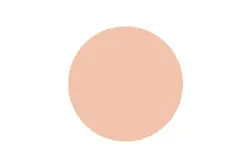 رژگونه اینستایل تاپ فیس کد 354