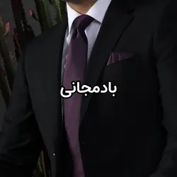 ست کراوات و پوشت ساده NESEN طرح آکسفورد PL2 - کراوات نسن