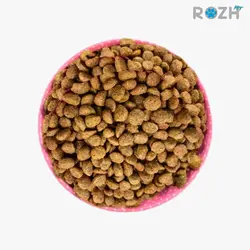 غذای خشک گربه رژپت وزن 10 کیلو گرم