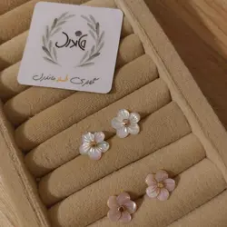 گل گوش صدفی